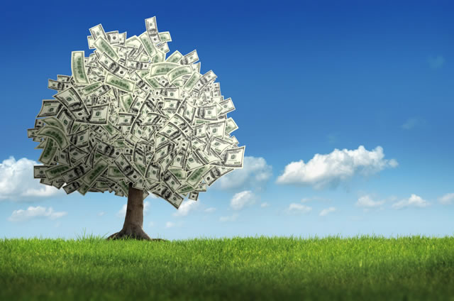 money tree