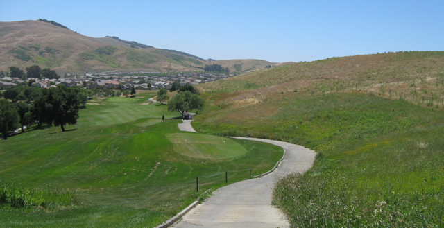 golf 2010
